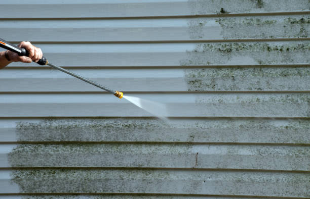 Best Attic Mold Removal  in Aitkin, MN