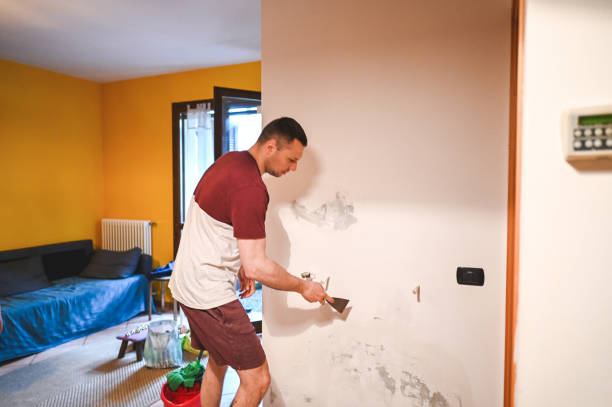 Best Mold Cleaning Services  in Aitkin, MN